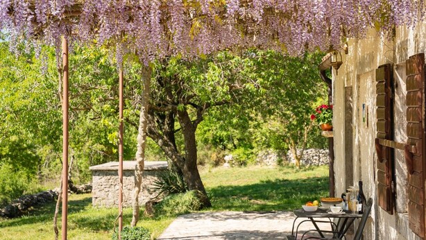 Ein Garten mit einer Pergola, die in violette Blüten getaucht ist, einer Steinsitzbank und einem Tisch mit Gartenmöbeln.