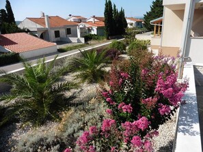 Um bairro residencial com casas, uma rua e um jardim com diversas plantas e flores.
