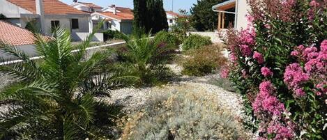 A residential area with houses, a garden with various plants, and a building with a red-tiled roof.