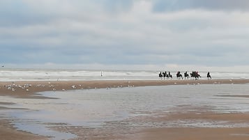 Vlak bij het strand, ligstoelen
