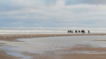 Vlak bij het strand, ligstoelen aan het strand