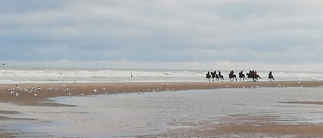 Nära stranden och solstolar