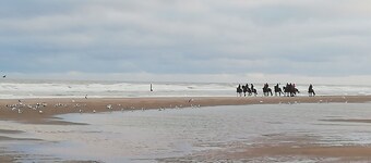 Ferie Duinenwind - ferie i Belgien