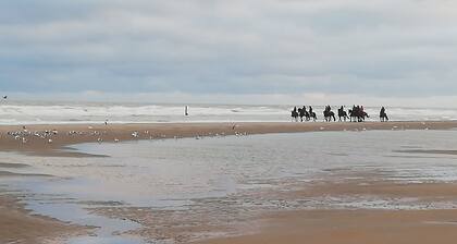 Vacances Duinenwind - vacances en Belgique