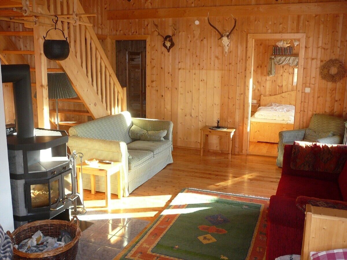 TV, fireplace, DVD player, books
