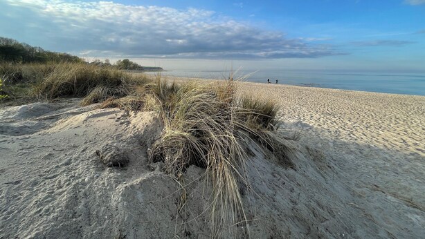 A sandy beach with dunes and a clear sky.