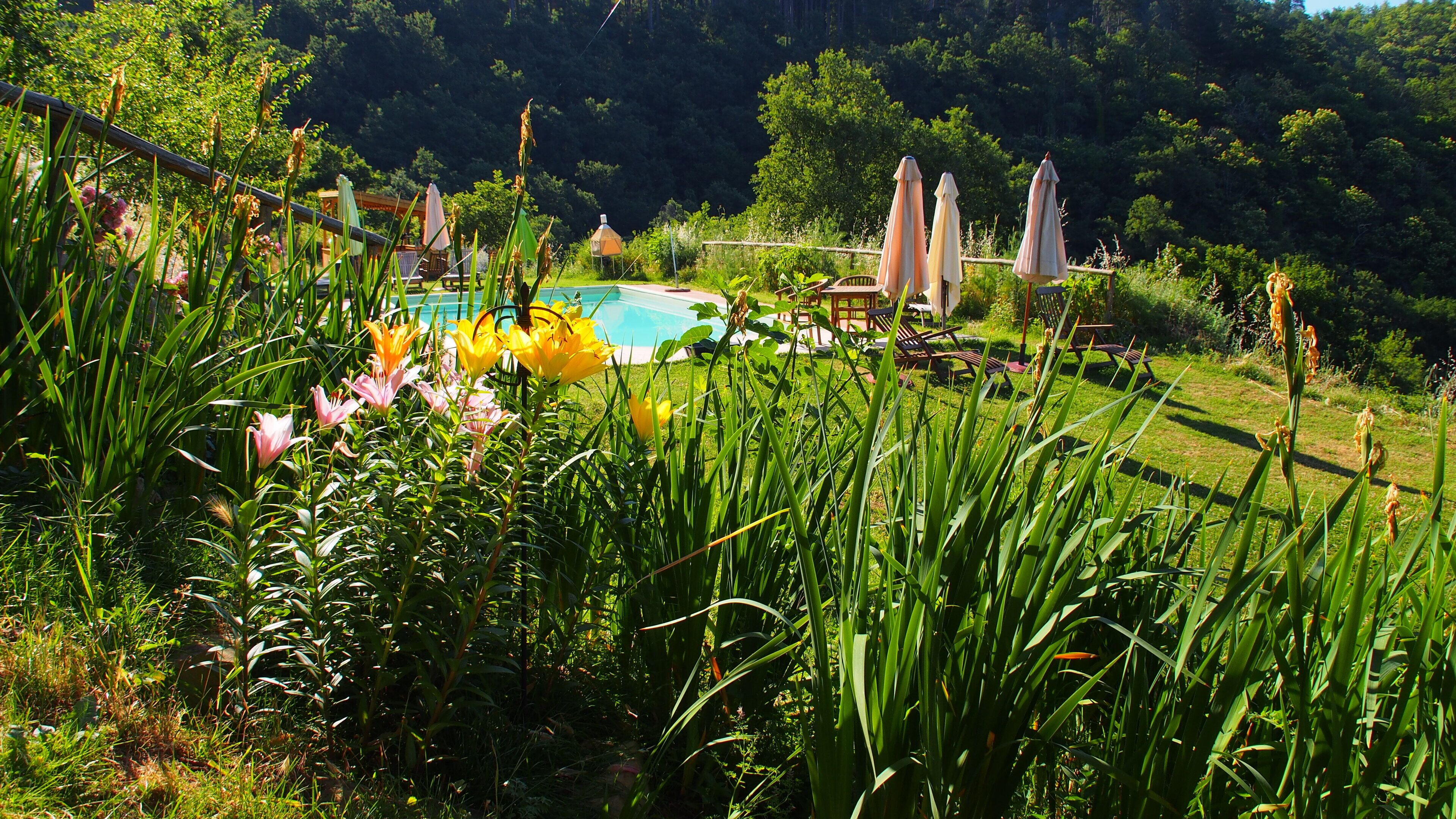 Una piscina al aire libre