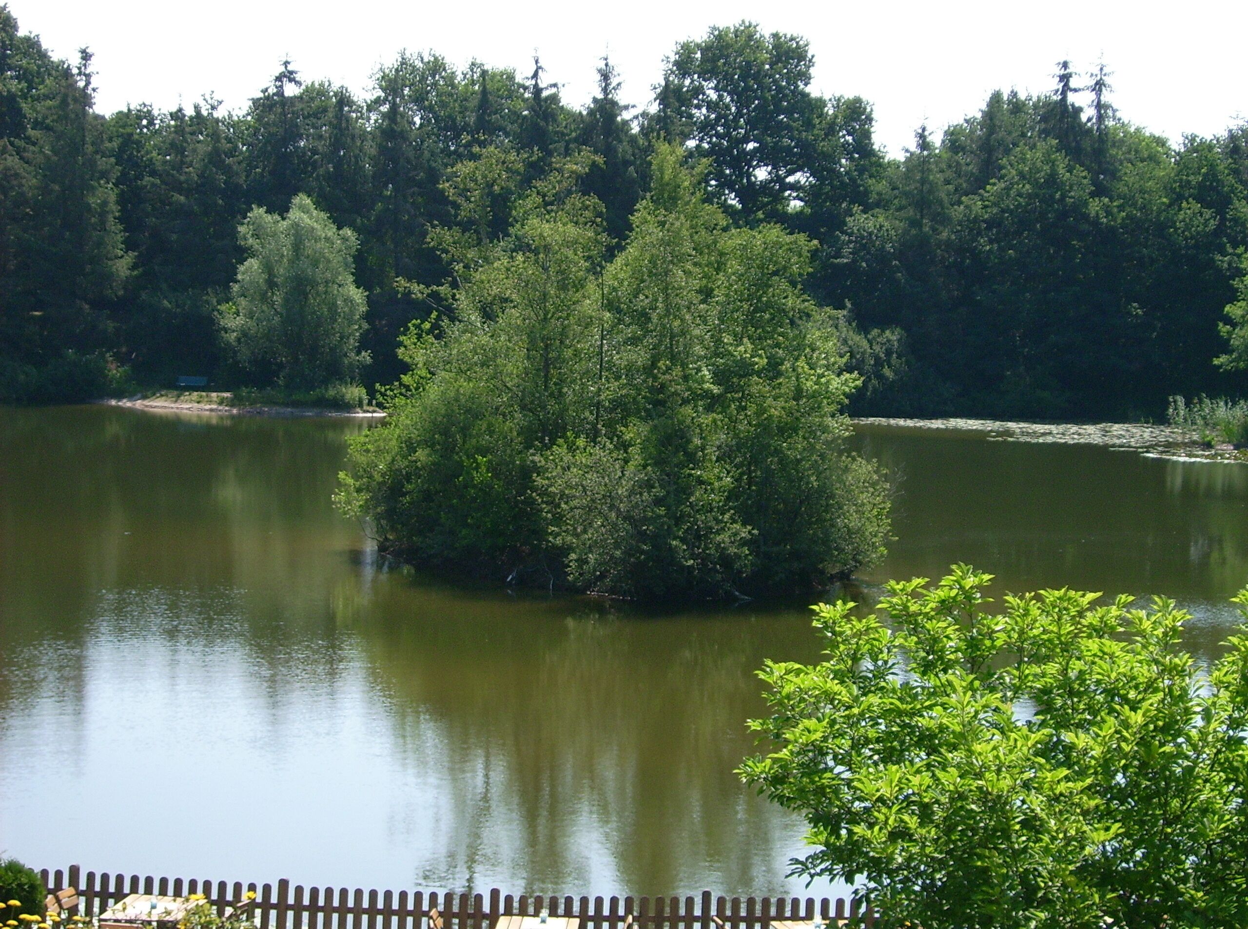 Ein ruhiger See, umgeben von dichtem Wald.
