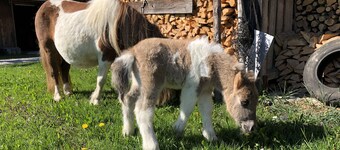 Apartment with a unique view