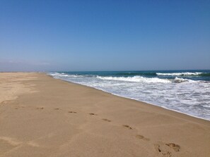 在海灘附近、躺椅