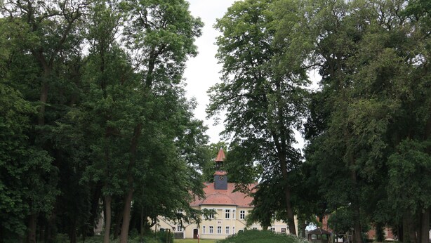 Un bâtiment doté d’un clocher, entouré d’arbres denses et d’une pelouse bien entretenue.