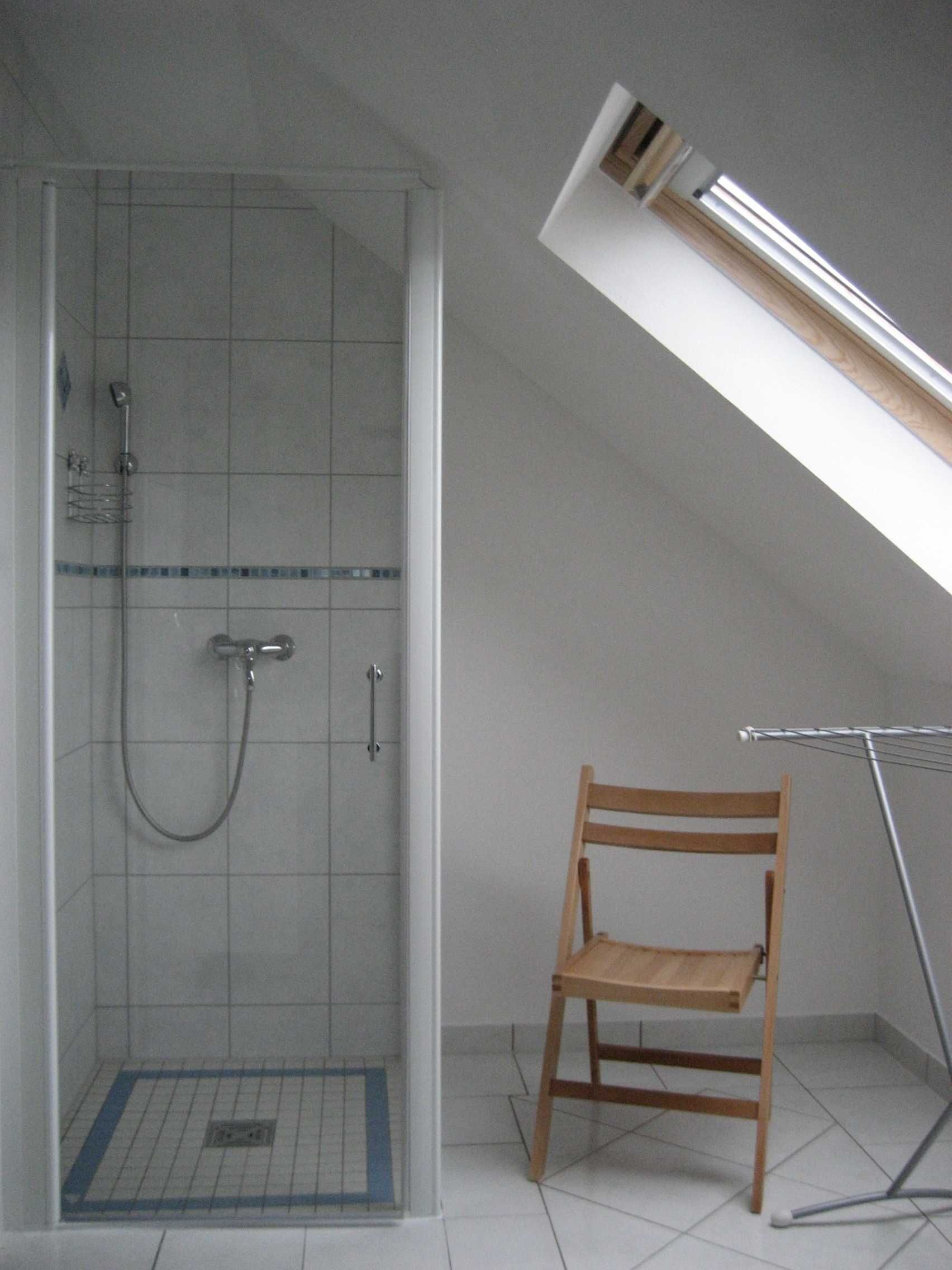 Shower, hair dryer, soap, toilet paper