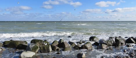 Een rotsachtige kust met golven, heldere lucht en vliegende vogels.