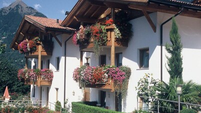 App. PETER - Erlenbach house in Schenna near Merano