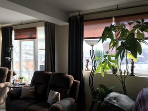 Fernseher, DVD-Player, Bücher, Musikbibliothek