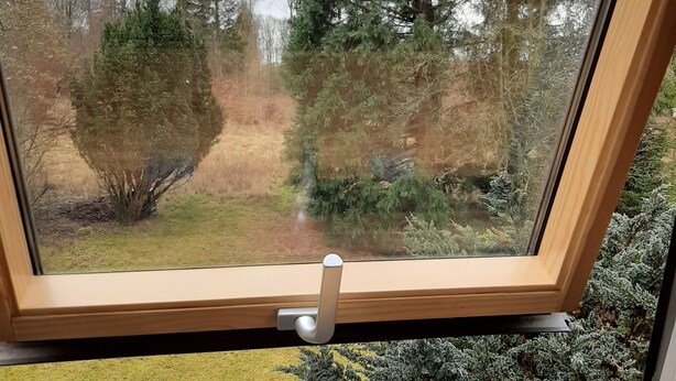Vista a través de una ventana con marco de madera, que da a un jardín con diversas árvores y arbustos.