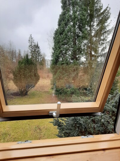 Cottage in the Franconian Forest right on the edge of the forest (Bad Steben, Rennsteig)