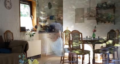 Chalet dans la forêt franconienne à la lisière de la forêt (Bad Steben, Rennsteig)
