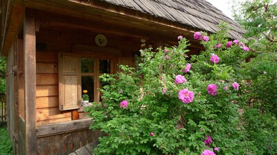 Romantic wooden house in the midst of a magnificent cultural landscape in the Maramures