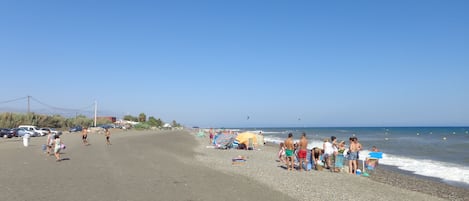 Lettini da mare