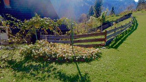 Paesaggio rurale con una staccionata di legno, una zona erbosa con fiori e montagne sullo sfondo.