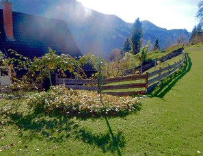 Ländliche Landschaft mit Holzzaun, einer Wiese voller Blumen und Bergen im Hintergrund.