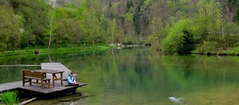Quaint, historic vacation cabin in Upper Austria's Ennstal Kalkalpen, sleeps up to 6, fenced-in