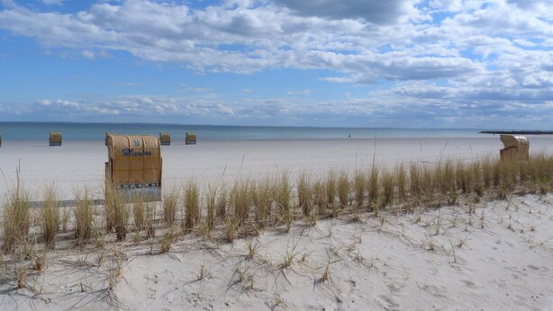 A beach with sand, grass, and a clear sky. - TOP HOLIDAY APARTMENT 65 SQM WITH 2 BEDROOMS, WLAN, balcony (Grömitz)