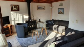 Télévision, cheminée, livres, chaîne hi-fi