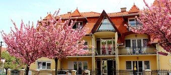 New, modern apartments, bright, friendly and clean! Many regular guests. 