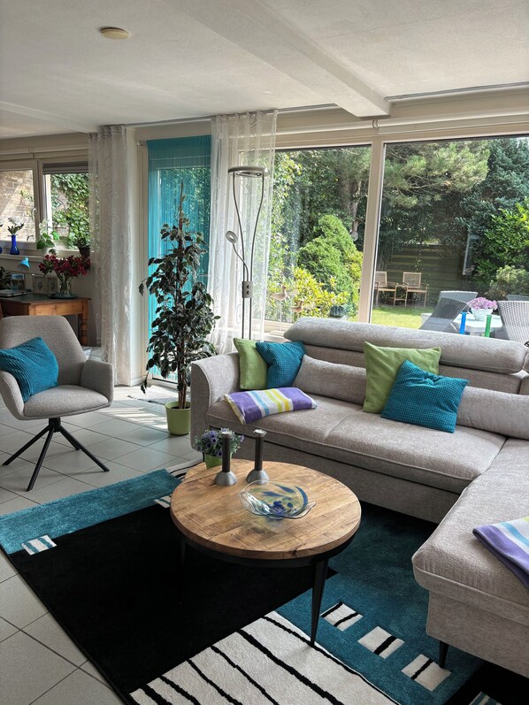 TV connectée, cheminée, lecteur de DVD, jouets