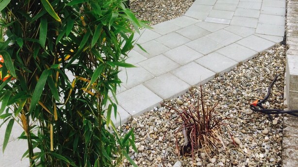 Un quartier résidentiel avec un chemin pavé, un bâtiment blanc doté de volets et diverses plantes en pot.