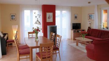 TV connectée, cheminée, lecteur de DVD, livres