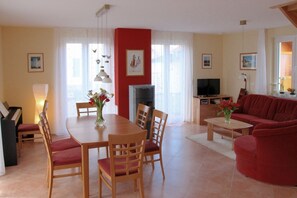 TV connectée, cheminée, lecteur de DVD, livres