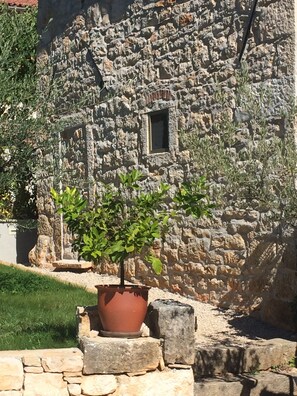 المنطقة المحيطة بالمنشأة