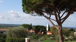 Un árbol grande en un entorno rural con vistas a casas y una torre al fondo.