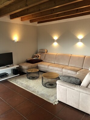 TV, fireplace, DVD player, ping pong