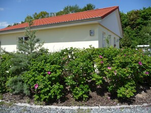 A yellow building with a red roof, surrounded by green shrubs with pink flowers.