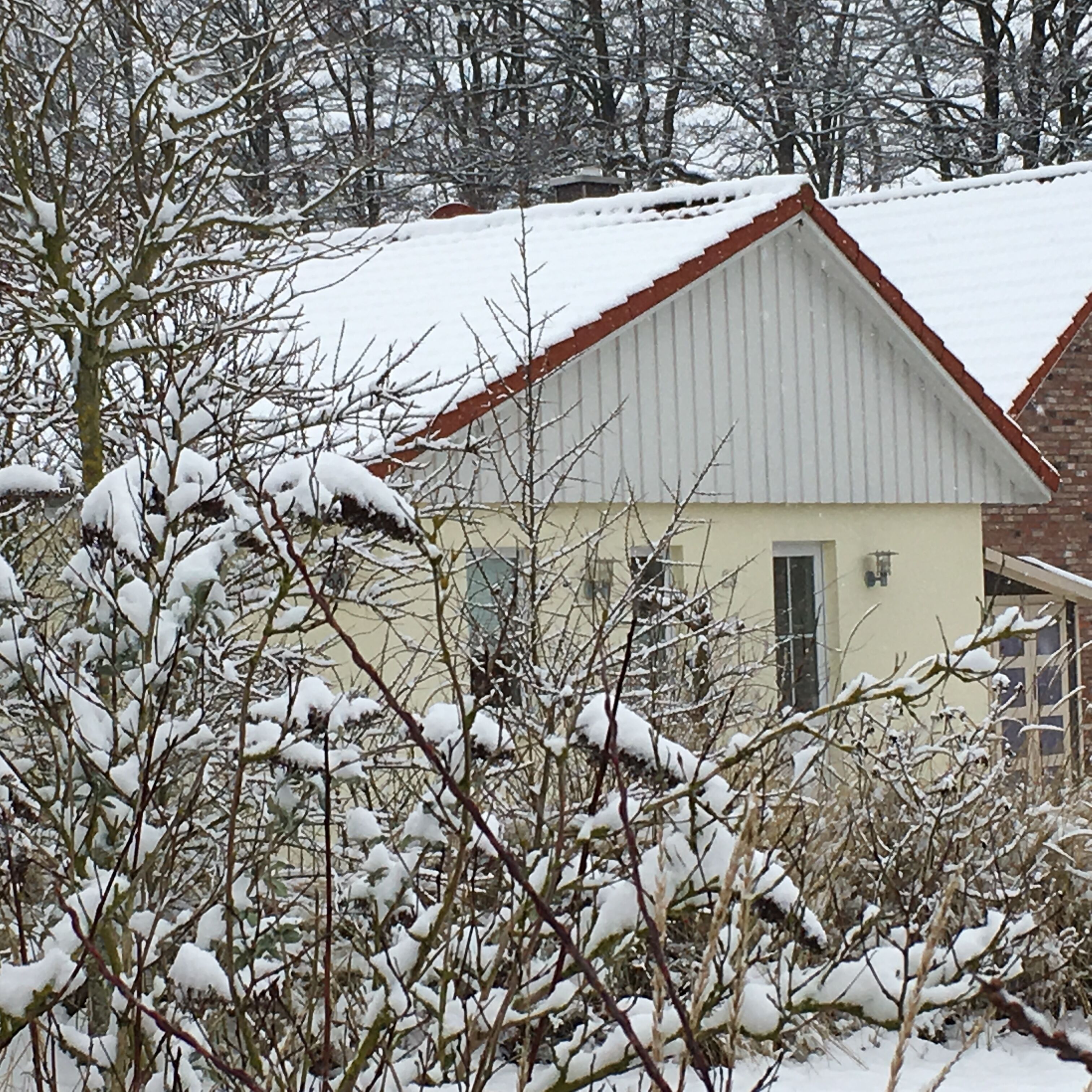 A house with a white roof and beige walls, surrounded by snow-covered trees and bushes.