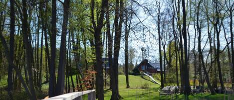 المنطقة المحيطة بالمنشأة