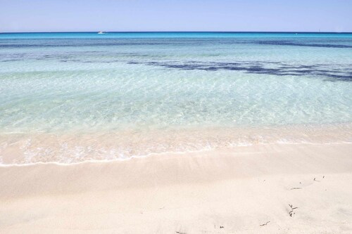 Villas Salinas Family & Friends