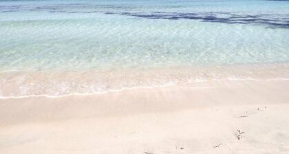 Villas Salinas Family & Friends