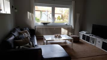 Télévision, cheminée, chaßne hi-fi