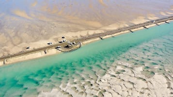 Plage, chaises longues