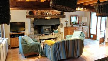 Een televisie, een open haard, een dvd-speler en boeken