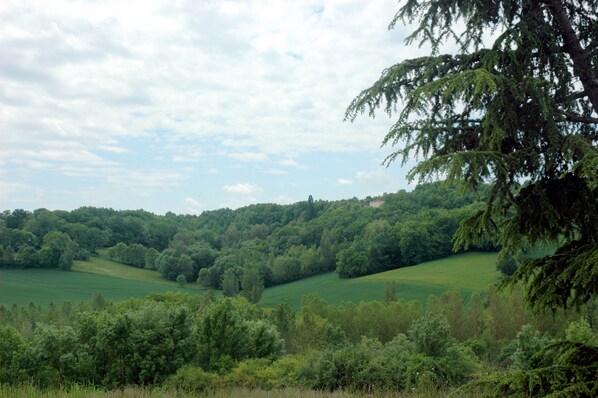 Un paisaje exuberante, con colinas ondulantes y densos bosques.
