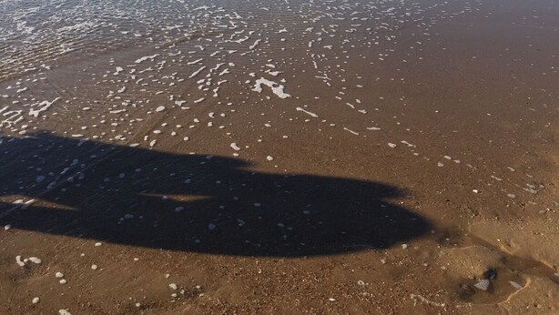 Een strand met een heldere lucht en een rustige zee.