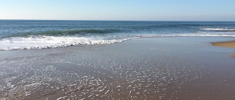 在海灘附近