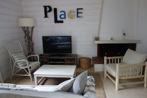 Télévision, cheminée, lecteur de DVD, livres