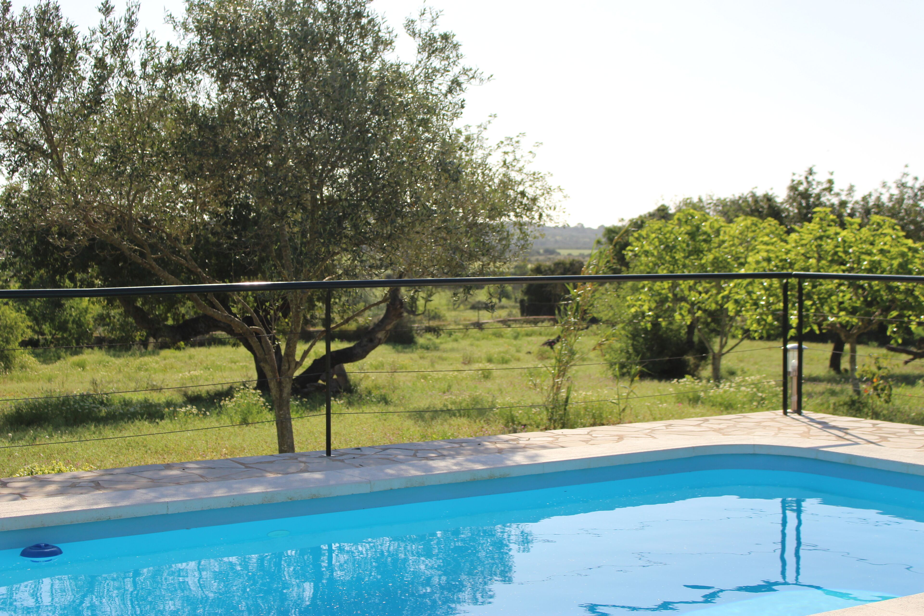 Une piscine entourée d’une barrière métallique, bordée d’une pelouse et d’arbres.